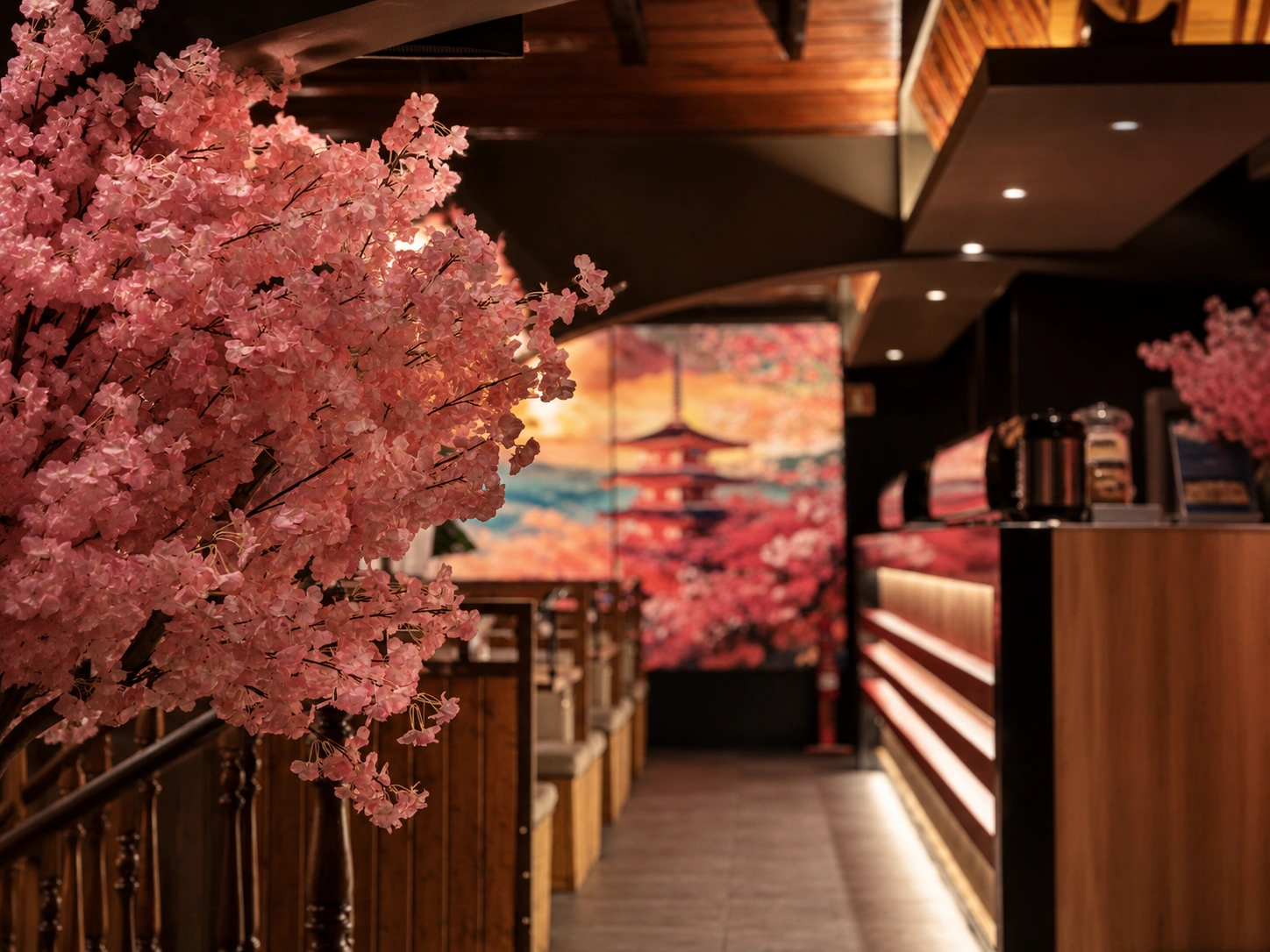Cherry blossom tree beside the Sakura Sintra bar